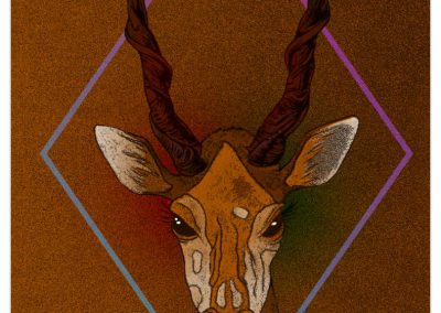 Giraffe with elandi horns, diamond shape on brown background.